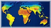International Feed-in Tariff